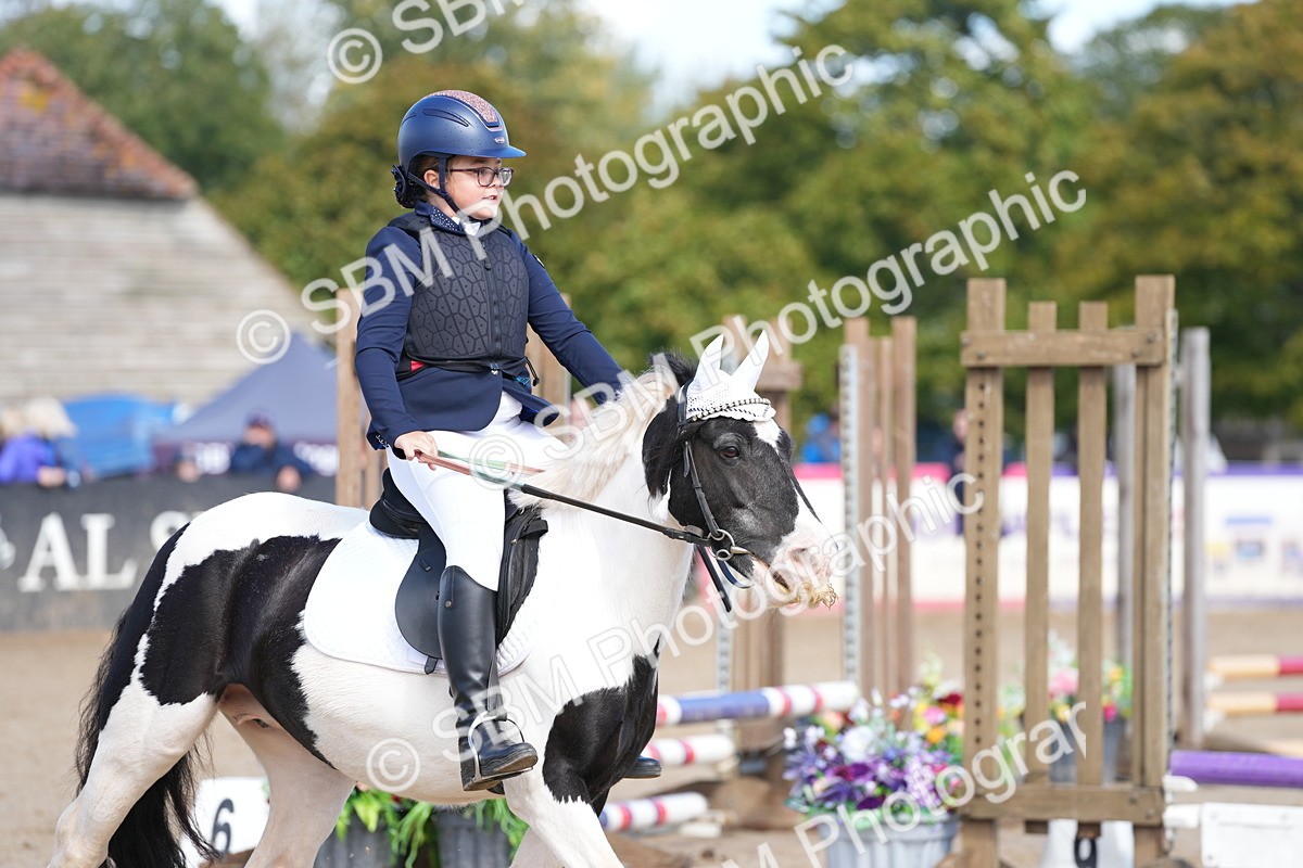 SBM_19849 - J49 - Open 50cm