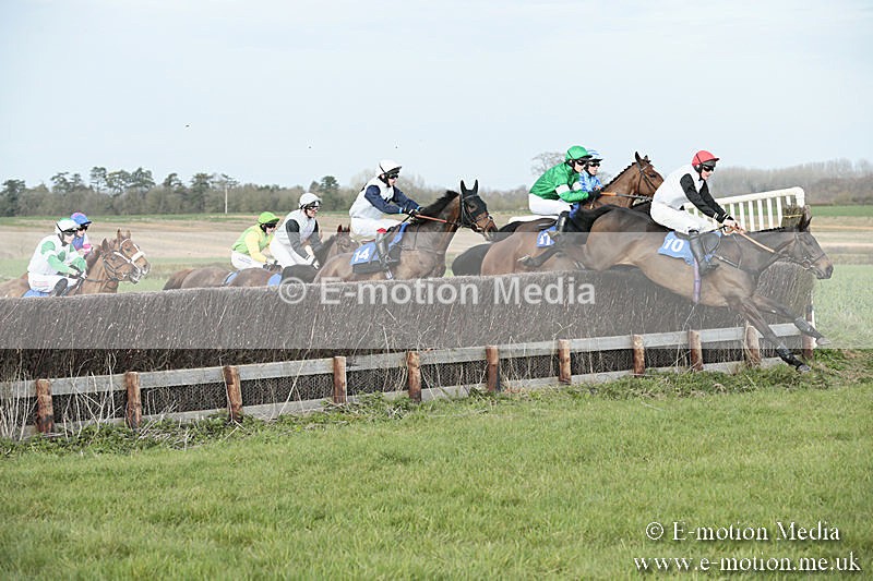 PtP 230319 423 - VWH Hunt Siddington Point-to-Point Racing 23/03/19