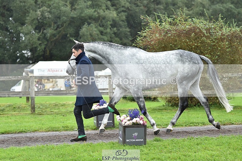 231018-124718-00520 - 064-AIR.MAIL-Daisy.Amin-TrotUp