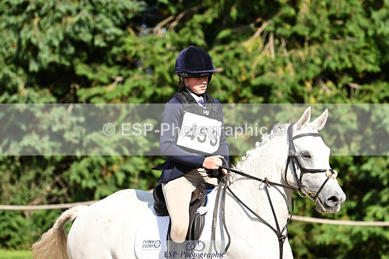 240824X-161407-29924 - 80cm Round 2 15.30 to 16.50