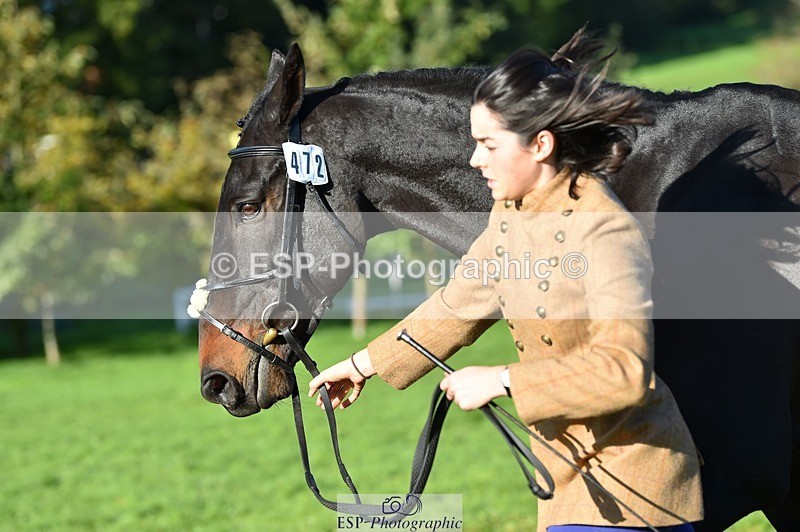 231022-102812-22505 - 472-SIR.LARRY.II-Alice.Wharton-TrotUp+SJ