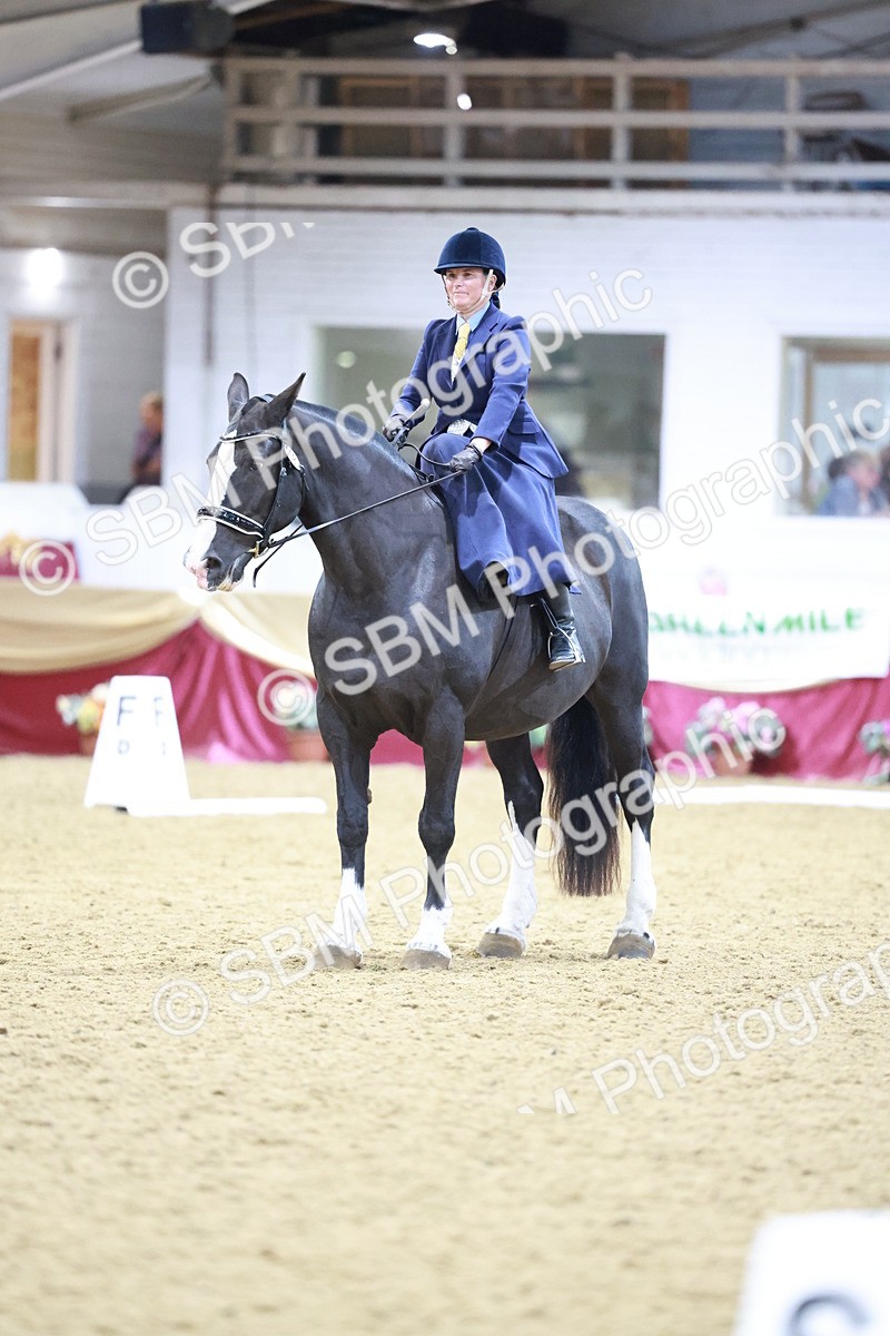 SBM_09911 - Class 61 - Dressage to Music