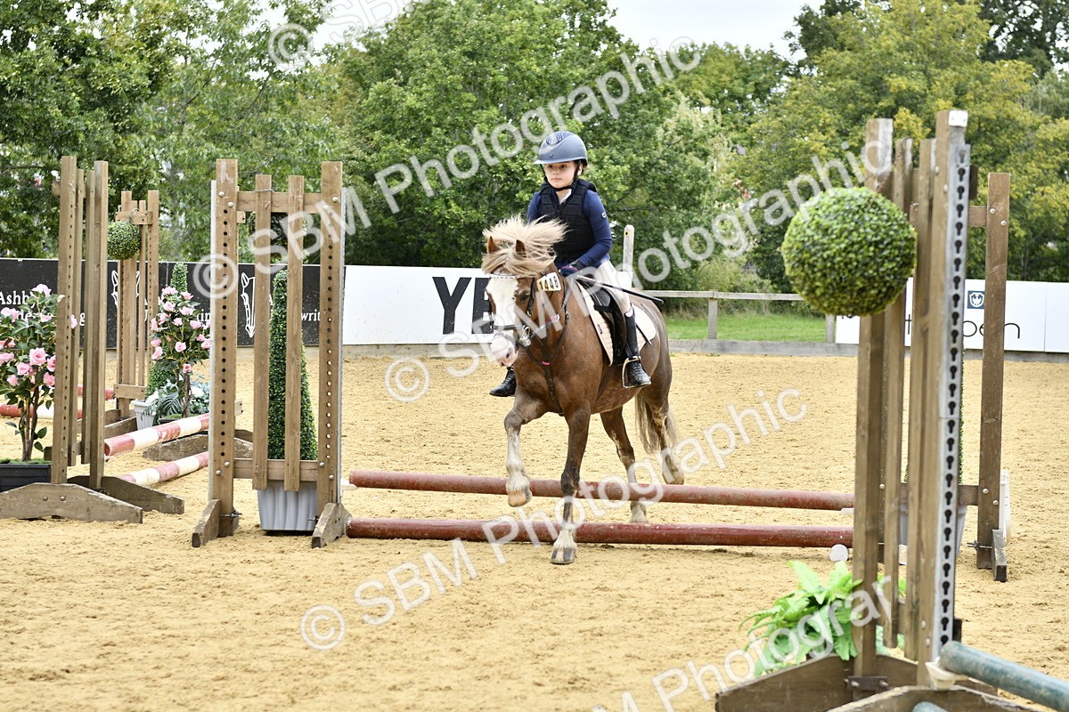 SBM_65487 - J2a mini Tour Junior Pony 30cm Championship