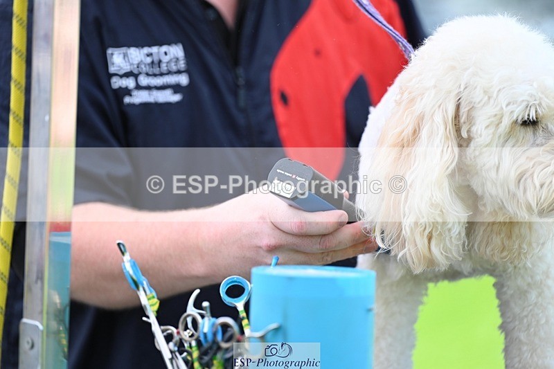 240525-114849-12633 - Candid and Saturday Hobby Horse