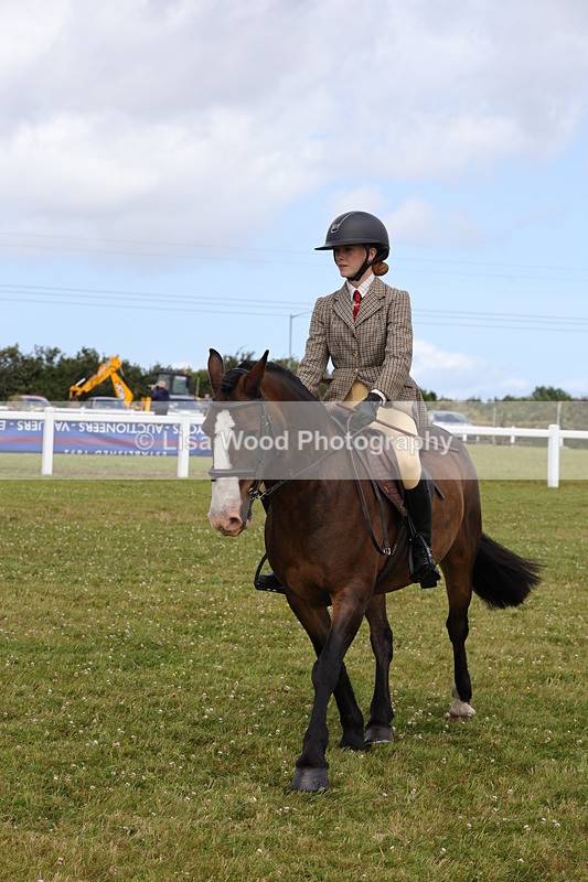 1X9A4075 - Class 32: Show Hunter Pony 153cm and under