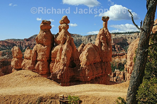 The Three Amigos - Bryce Canyon National Pk.- 2011