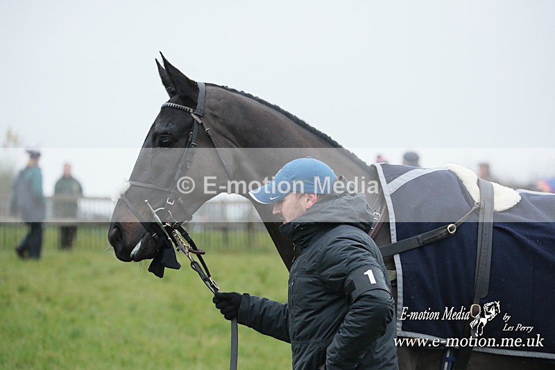 PtP 031223 315 - Wheatland Hunt PtP Chaddesley Races 03/12/23