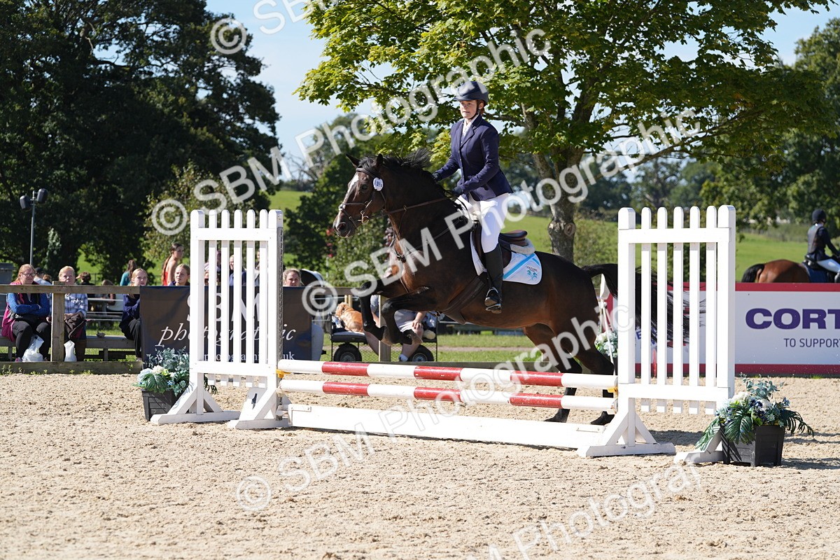 SBM_38782 - J21 - Junior Horse 60cm Championship
