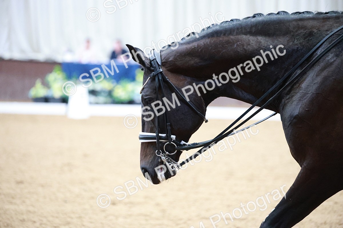 SBM_009720 - Class 13 - FEI PSG - 11.06-12.34