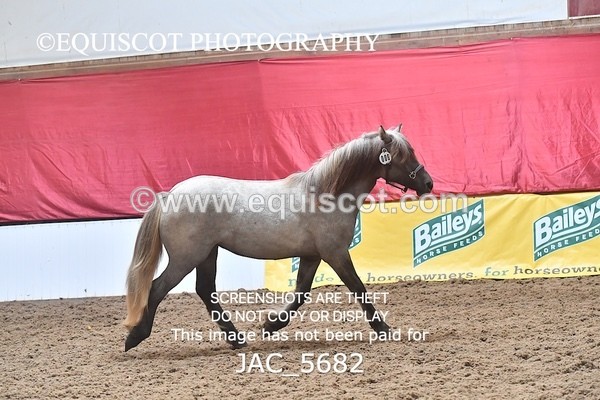 JAC_5682 - 6 Glenmuir Niamh
