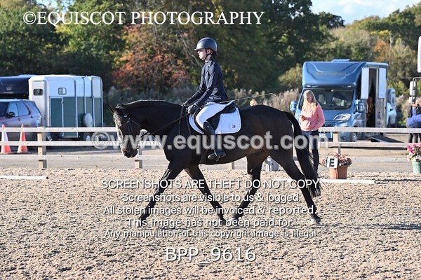 BPP_9616 - SHORT ARENA