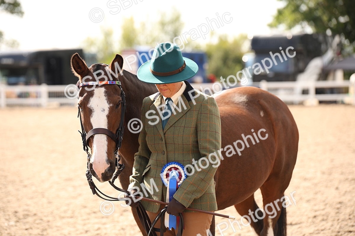SBM_07440 - Class 26 IH Foreign Breeds -Part bred