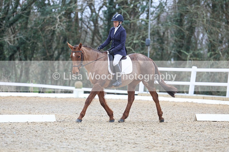 3E7A1074 - Class 6: Novice 1 2024 Section B