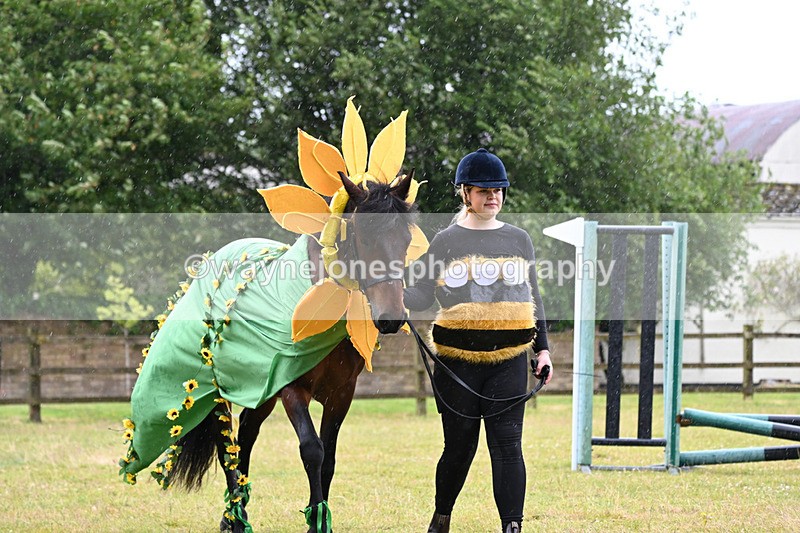 WJ6_9164 - Class 11 Fancy Dress