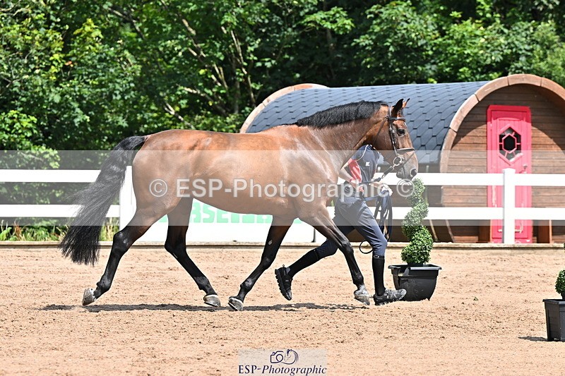 240718A-105249-01201 - Trot Up 12pm to 1pm