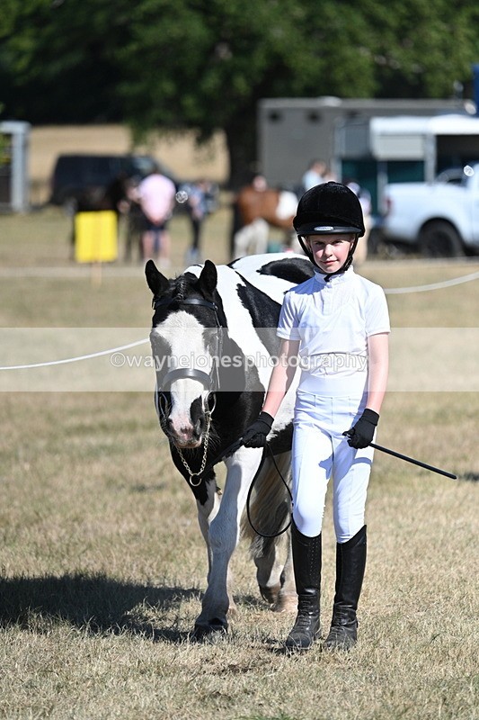 WJ7_1793 - Class 43 Best Six Legs (In hand)