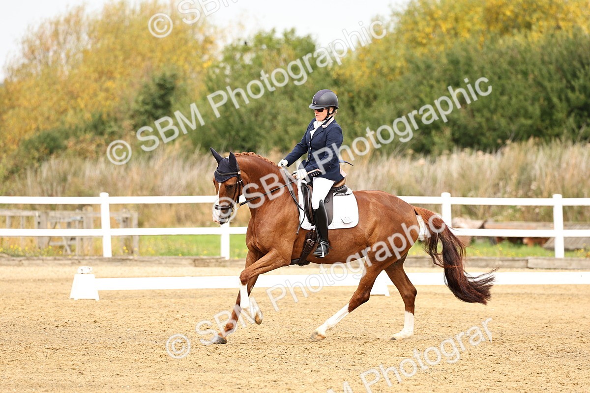 SBM_012308 - Class 2 - Prelim 5