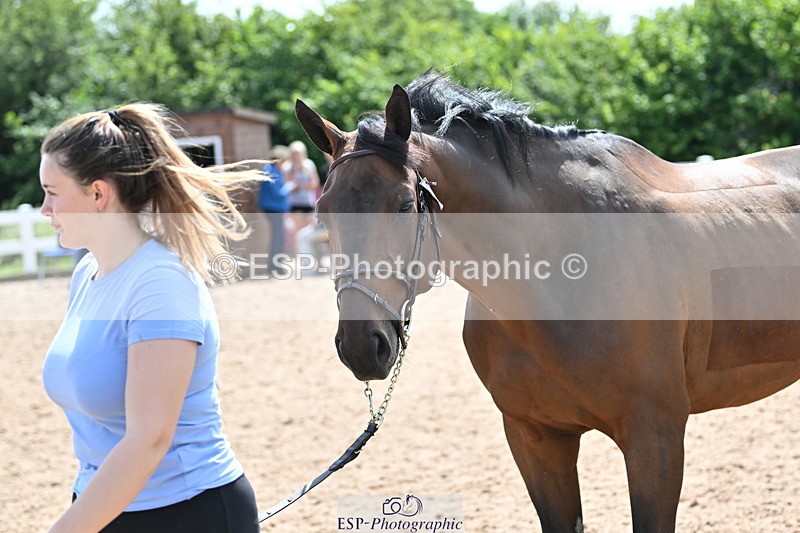 240717A-151653-02711 - Trot Up 3pm to 4pm