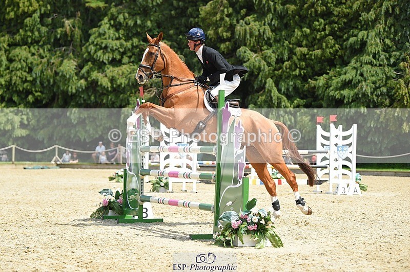 230528-124724-15849 - 370-DUKE_LEGACY-William_Fox-Pitt-SUNTrotUp+SJ