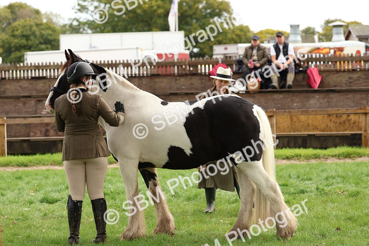 SBM_39347 - S24 - Young Veteran In Hand