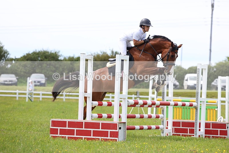 3E7A1494 - Class 13: Senior British Novice/90cm open