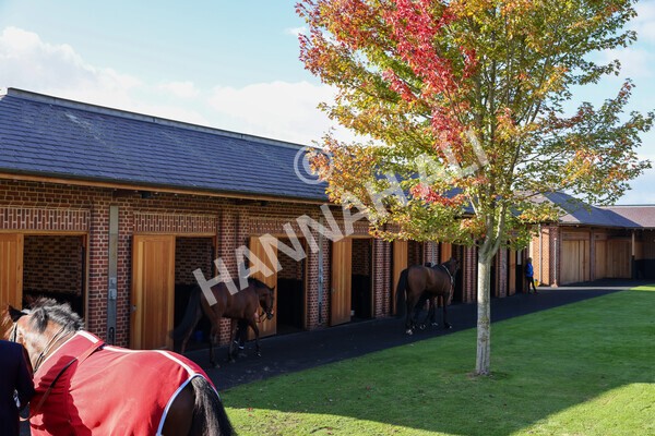 yr08102022r4-5 - Race 4 3.15pm The Coral Sprint Trophy