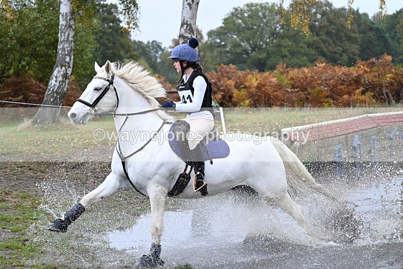 WJ7_1003 - 80cm Cam 2 Water Time 11:29 to 11:46