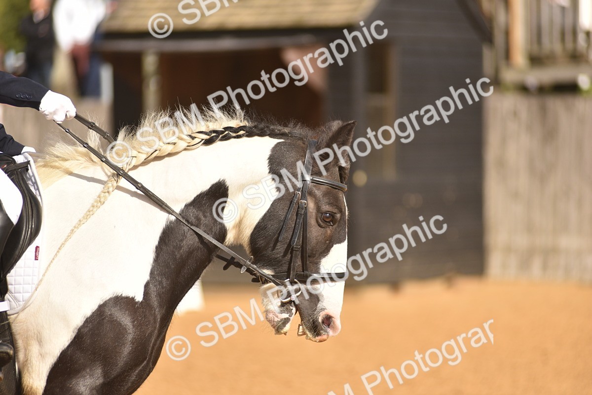 SBM_48855 - D22 - Junior Championship Intro 3