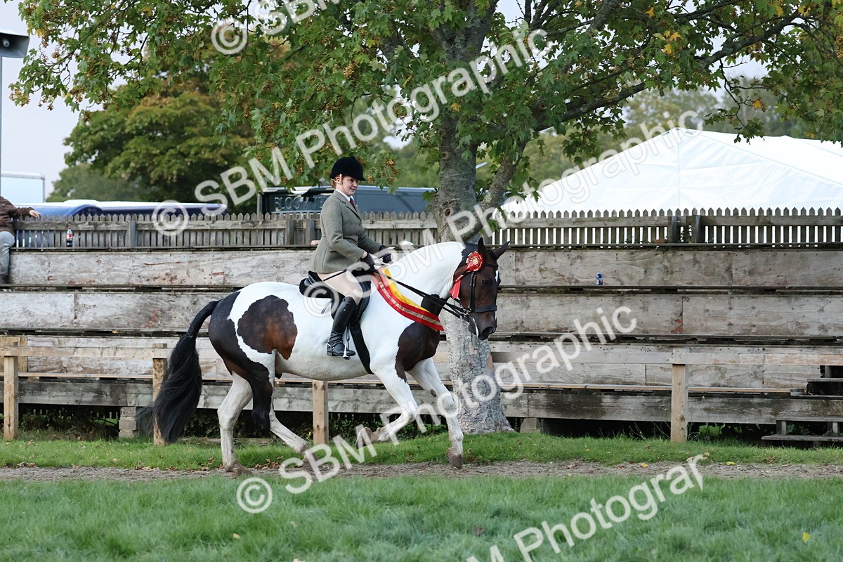 SBM_53429 - Super Supreme Championship (Sat)