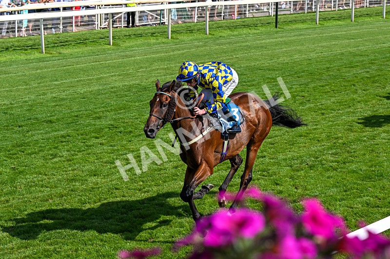 110726-Race 5-Cruden-0378 - Race 5 16.20pm John Smith's Stayers' Handicap
