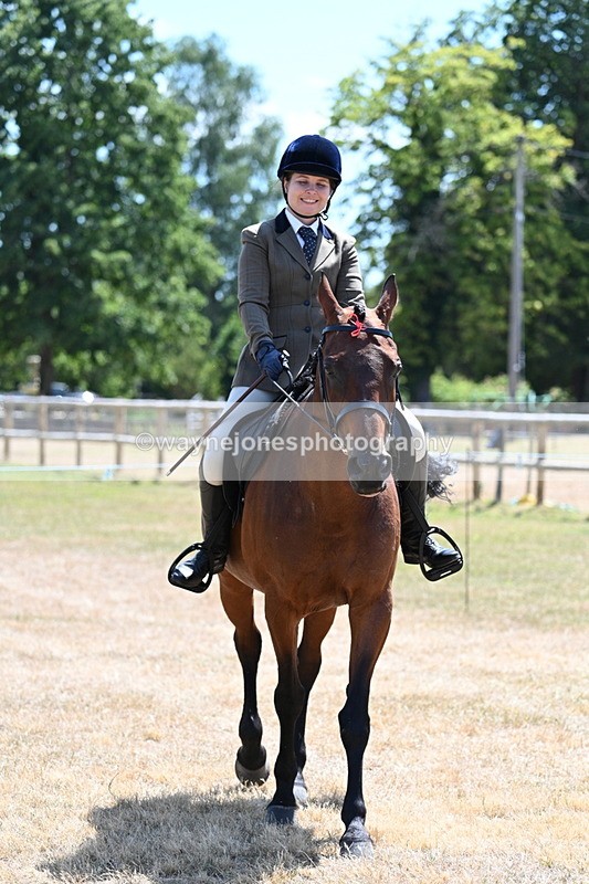 WJ7_2834 - Class 7 Riding Club Show Horse