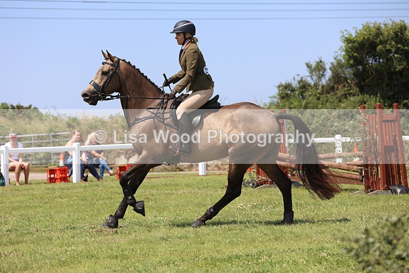 JPP_3133 - Class 22: Working Hunter 70cm