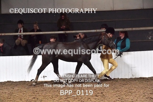 BPP_0119 - RING 1