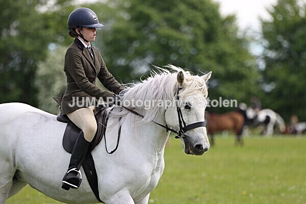 IMG_2712 - Working Hunter