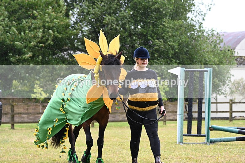 WJ6_9162 - Class 11 Fancy Dress