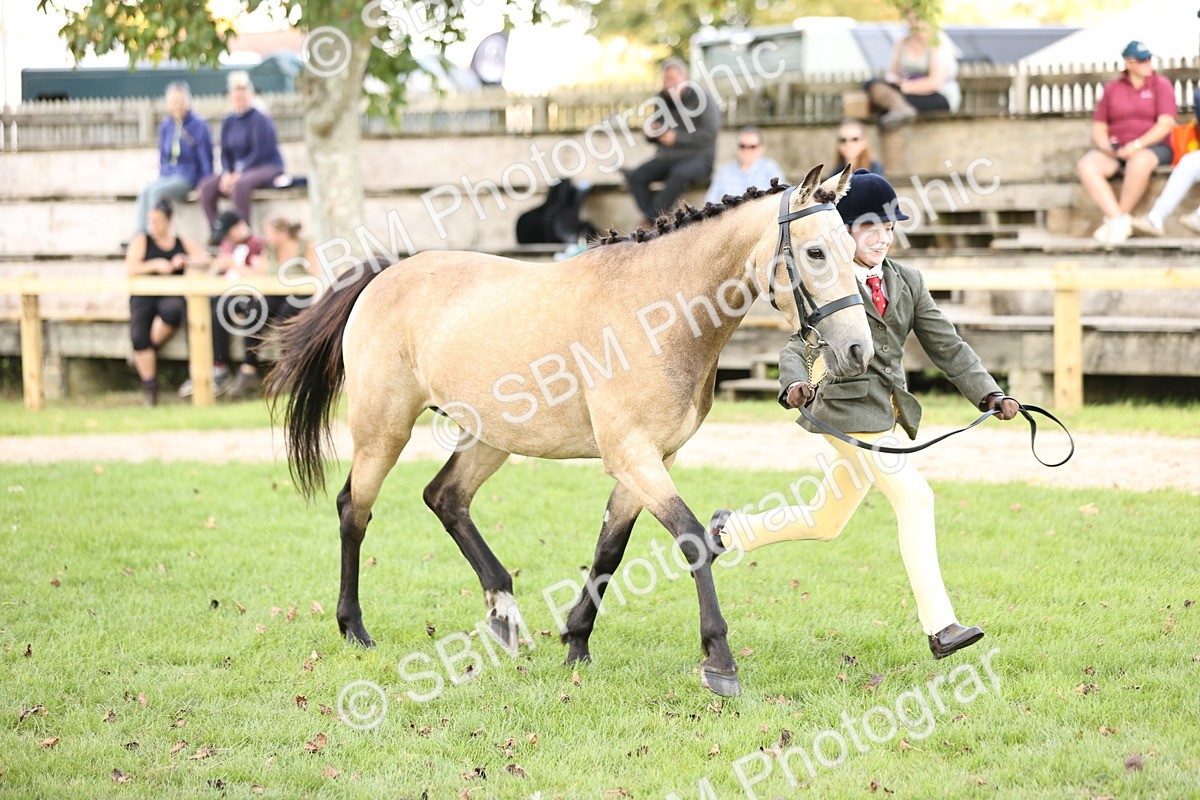 SBM_26266 - S5 - Novice & Newcomers In Hand