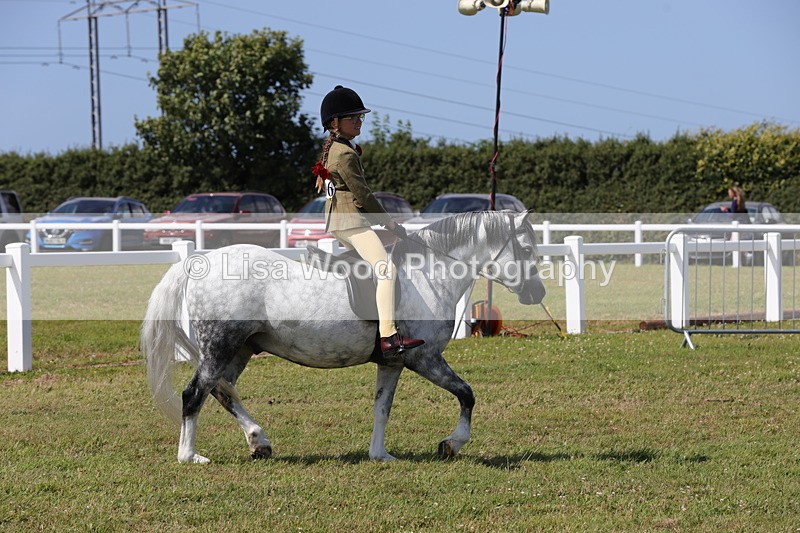 1X9A5381 - Class 37: NPS M&M First Ridden