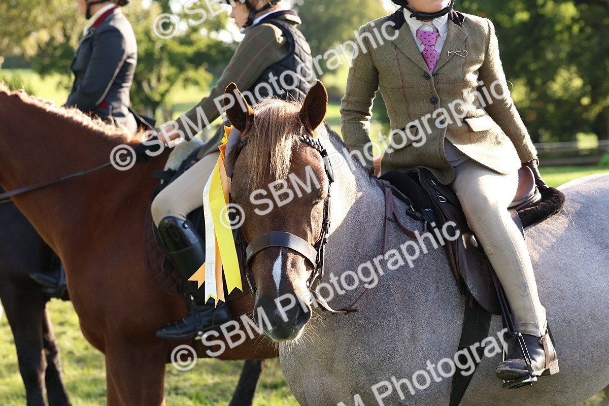 SBM_52683 - S13 - Pony Club Pony