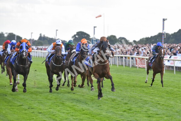 yr20082022r5-21 - Race 5 4.10pm Sky Bet Constantine Stakes