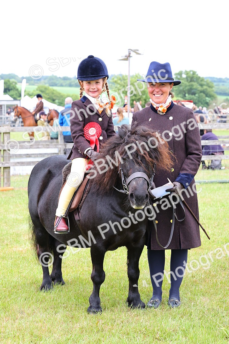 SBM_08356 - Class 42-43 - LIHS BSPS Heritage Working Sports Pony