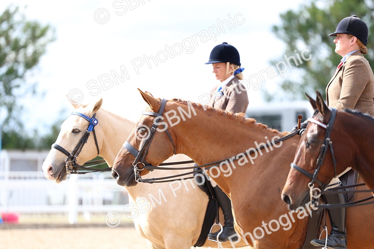 SBM_17271 - Class 315 - Best Horse - Rider Combination