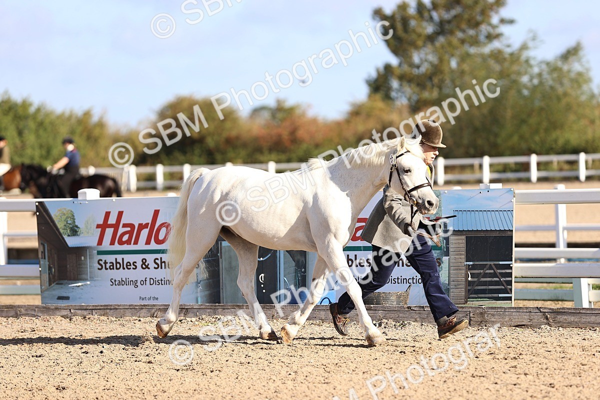 SBM_08459