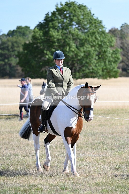 WJ7_3061 - Class 8 Ridden Tack & Turnout