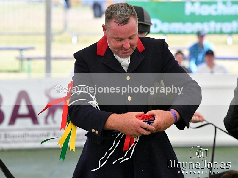 WJ5_0867 - Berks & Bucks at the Great Yorkshire Show 2025