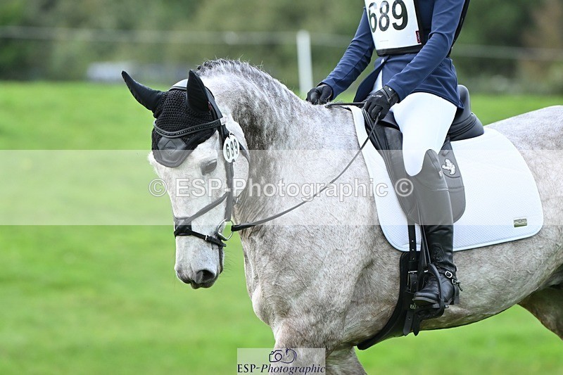 231020-155210-11590 - 689-SHANNONDALE.GOLD.RUSH-Eliza.Bradford-DR