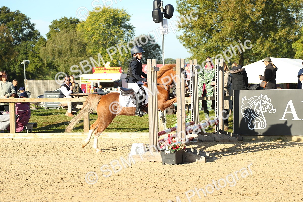 SBM_35004 - J5 - Junior Pony 50cm Championship