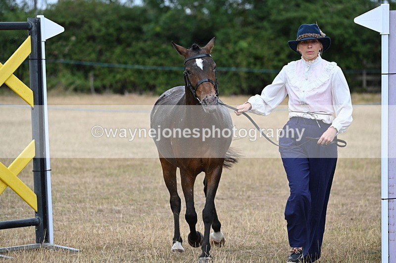 WJ6_8062 - Class 10 Coloured in Hand