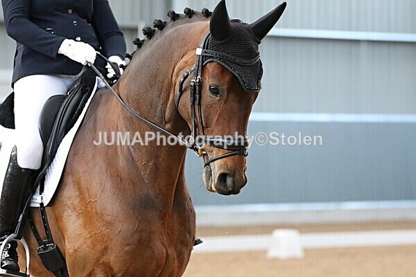 SIAL0290 - GDG Bogenraith Friday 26th Sept 2025