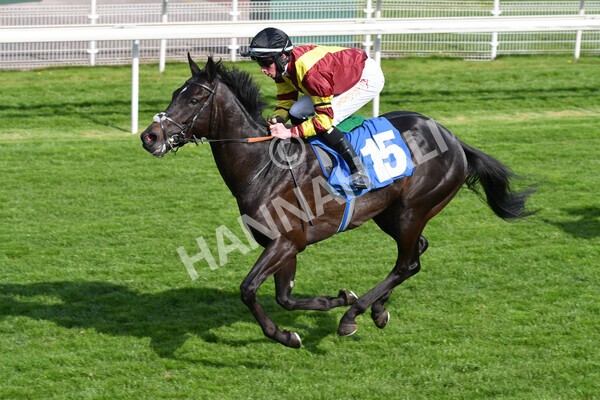 yr12052021r7-26 - Race 7 4.50 pm Conundrum HR Consulting Stakes