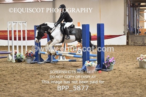 BPP_5877 - CLASS 5 PONY 50CM FINAL